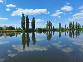Labe 20 nad jezem v Lysé nad Labem 9.5.24.jpg